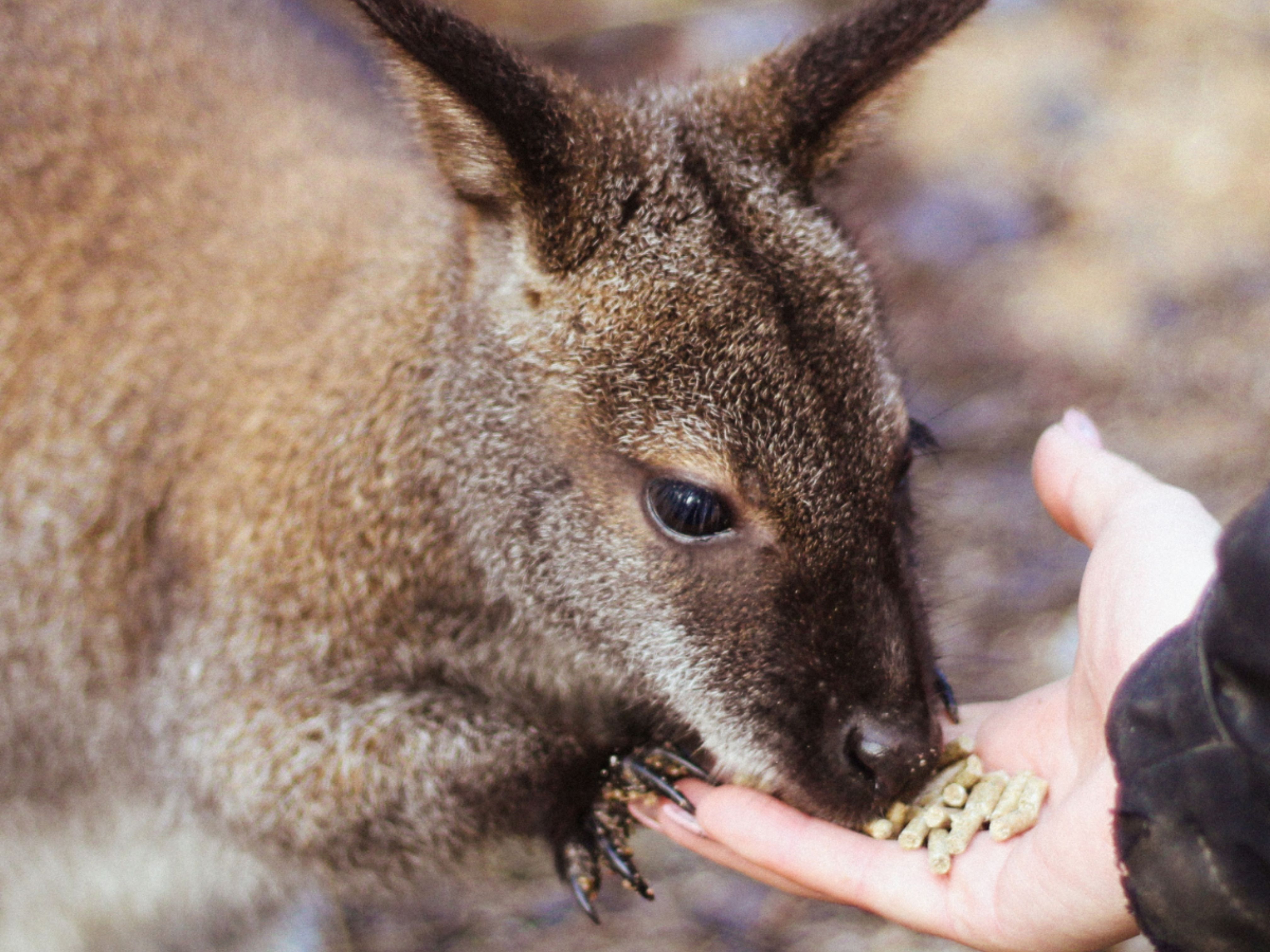 Návrh bez názvu (11)